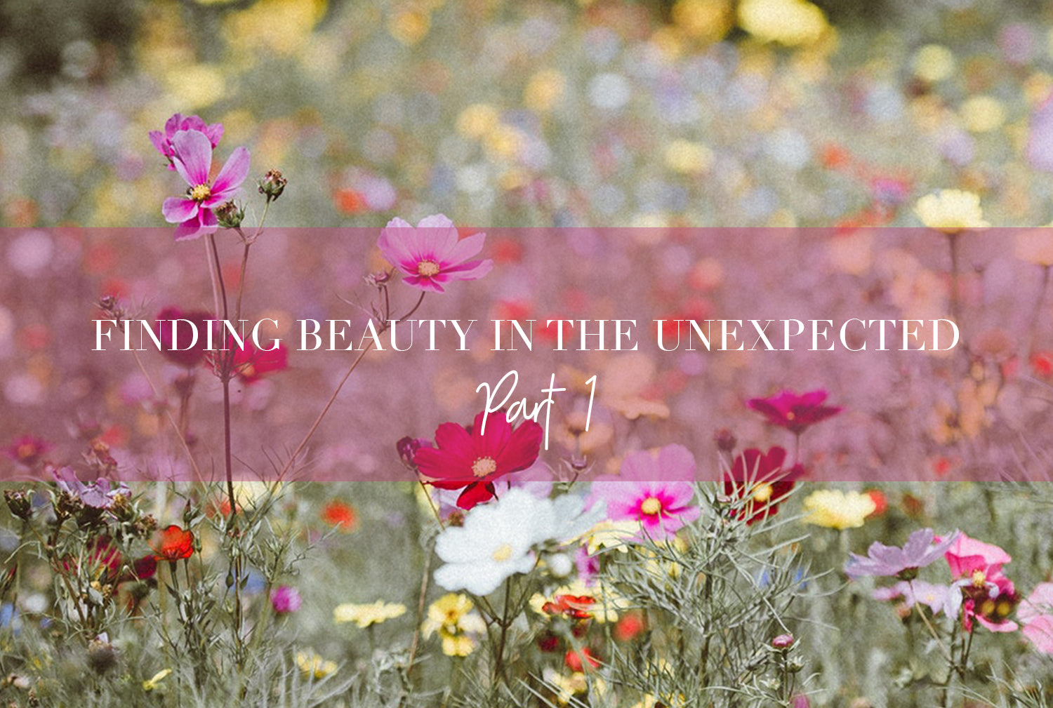 finding-beauty-in-the-unexpected-1