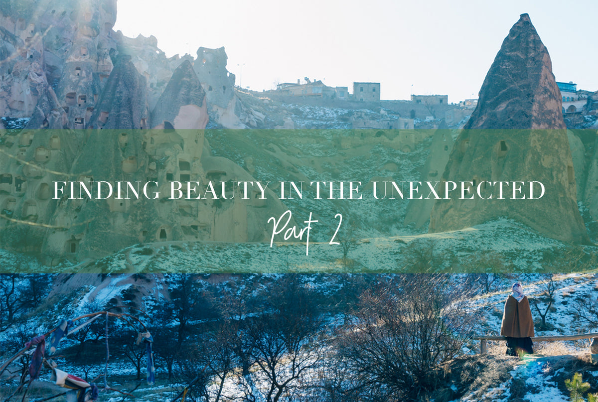 finding-beauty-in-the-unexpected-p2
