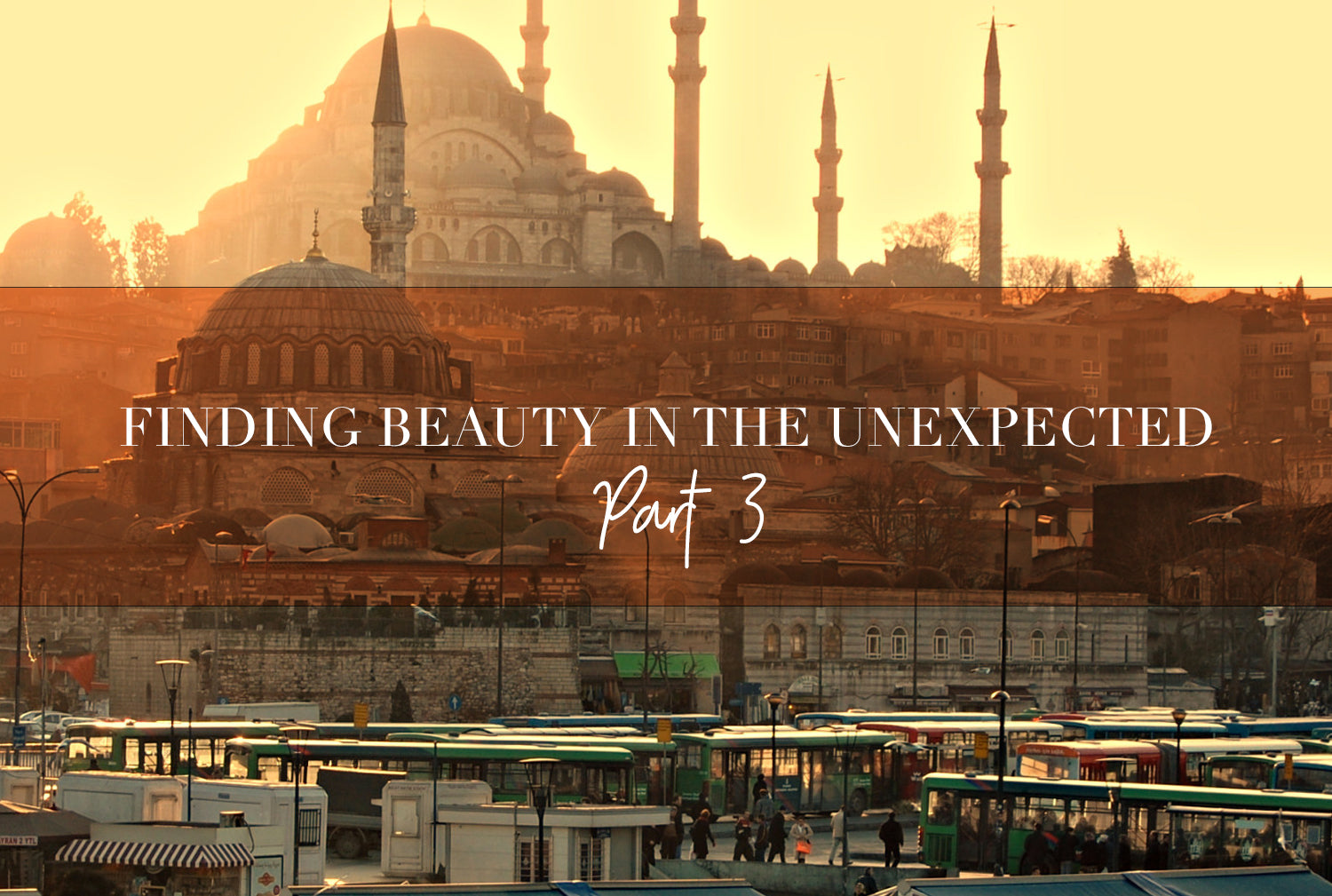 Finding beauty in the unexpected pt3